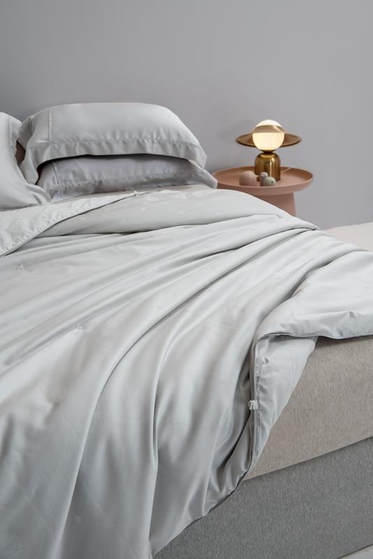 91家纺网 家纺一手货源 找家纺 2021香夫新款蚕丝被80S凯撒纯蚕丝被 第一套  灰色