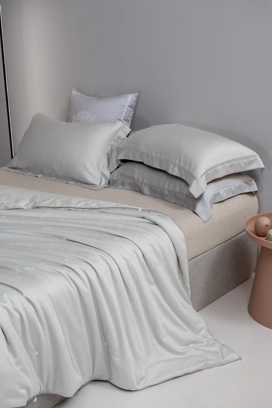 91家纺网 家纺一手货源 找家纺 2021香夫新款蚕丝被80S凯撒纯蚕丝被 第一套  灰色