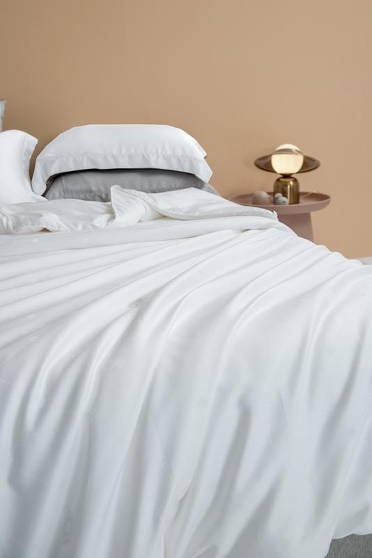 91家纺网 家纺一手货源 找家纺 2021香夫新款蚕丝被80S凯撒纯蚕丝被 第二套白色