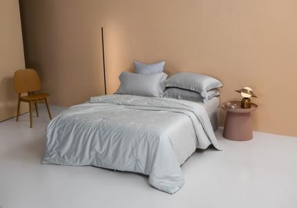 2021香夫新款蚕丝被80S凯撒纯蚕丝被 第二套灰色