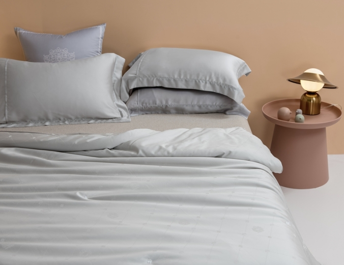 91家纺网 家纺一手货源 找家纺 2021香夫新款蚕丝被80S凯撒纯蚕丝被 第二套灰色