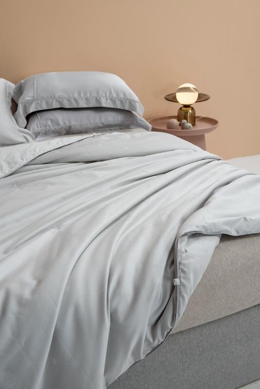 91家纺网 家纺一手货源 找家纺 2021香夫新款蚕丝被80S凯撒纯蚕丝被 第二套灰色