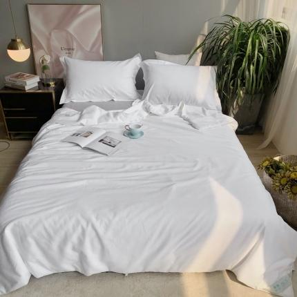 2021新款小H格蚕丝被纯蚕丝被