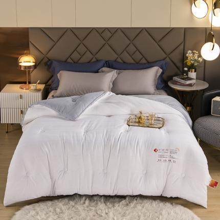 91家纺网 家纺一手货源 找家纺 2023丽卡家纺新款新款光热1号速暖被自发热被大豆被冬被春秋被 本白