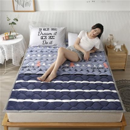 91家纺网 家纺一手货源 找家纺 （总）东宇床垫 2022新款加厚微芙绒床垫