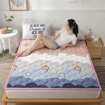 91家纺网 家纺一手货源 找家纺 （总）东宇床垫 2022新款加厚微芙绒床垫