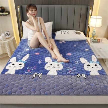 91家纺网 家纺一手货源 找家纺 （总）东宇床垫 2022新款牛奶绒薄款床垫