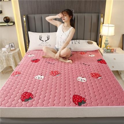 91家纺网 家纺一手货源 找家纺 （总）东宇床垫 2022新款牛奶绒薄款床垫