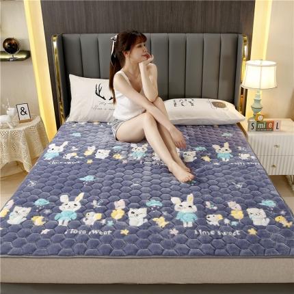 91家纺网 家纺一手货源 找家纺 （总）东宇床垫 2022新款牛奶绒薄款床垫