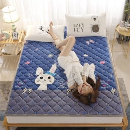 91家纺网 家纺一手货源 找家纺 （总）东宇床垫 2022新款加厚牛奶绒床垫