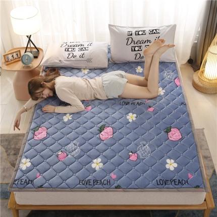 91家纺网 家纺一手货源 找家纺 （总）东宇床垫 2022新款加厚牛奶绒床垫