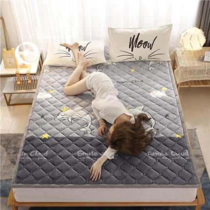 91家纺网 家纺一手货源 找家纺 （总）东宇床垫 2022新款加厚牛奶绒床垫