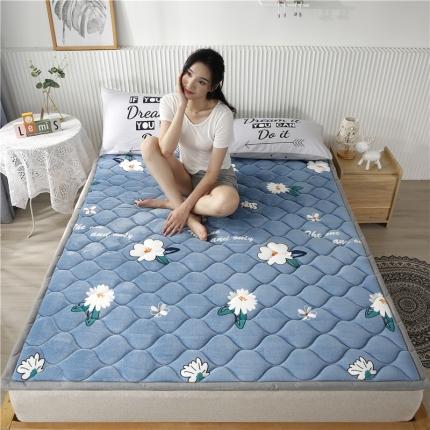 91家纺网 家纺一手货源 找家纺 东宇床垫 2022新款加厚微芙绒床垫 蝶恋花