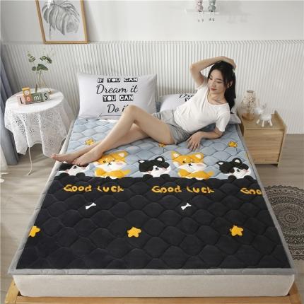 91家纺网 家纺一手货源 找家纺 东宇床垫 2022新款加厚微芙绒床垫 开心乐园