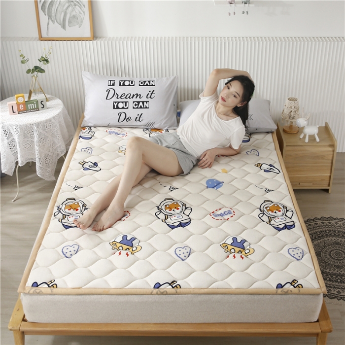 91家纺网 家纺一手货源 找家纺 东宇床垫 2022新款加厚微芙绒床垫 太空熊