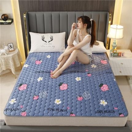 91家纺网 家纺一手货源 找家纺 东宇床垫 2022新款牛奶绒薄款床垫 蜜桃花语