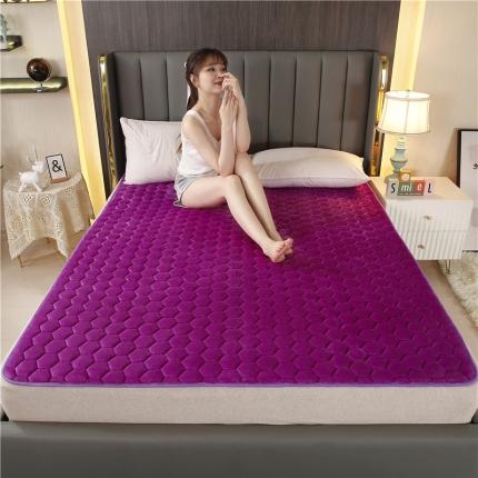 91家纺网 家纺一手货源 找家纺 东宇床垫 2022新款牛奶绒薄款床垫 神秘紫