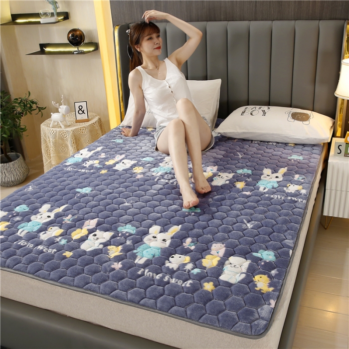 91家纺网 家纺一手货源 找家纺 东宇床垫 2022新款牛奶绒薄款床垫 童话