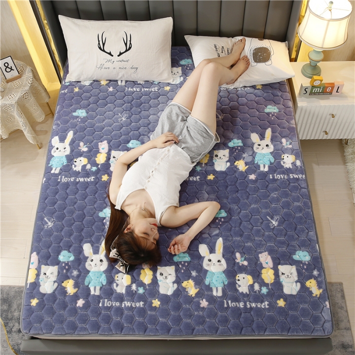 91家纺网 家纺一手货源 找家纺 东宇床垫 2022新款牛奶绒薄款床垫 童话