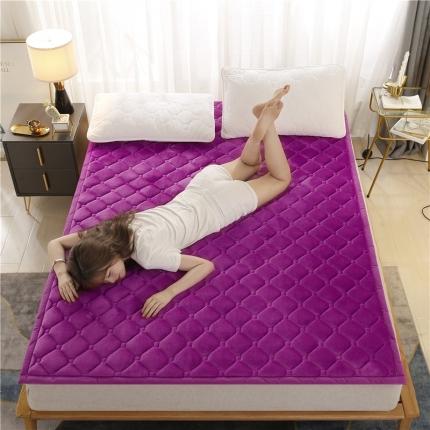 91家纺网 家纺一手货源 找家纺 东宇床垫 2022新款加厚牛奶绒床垫 神秘紫