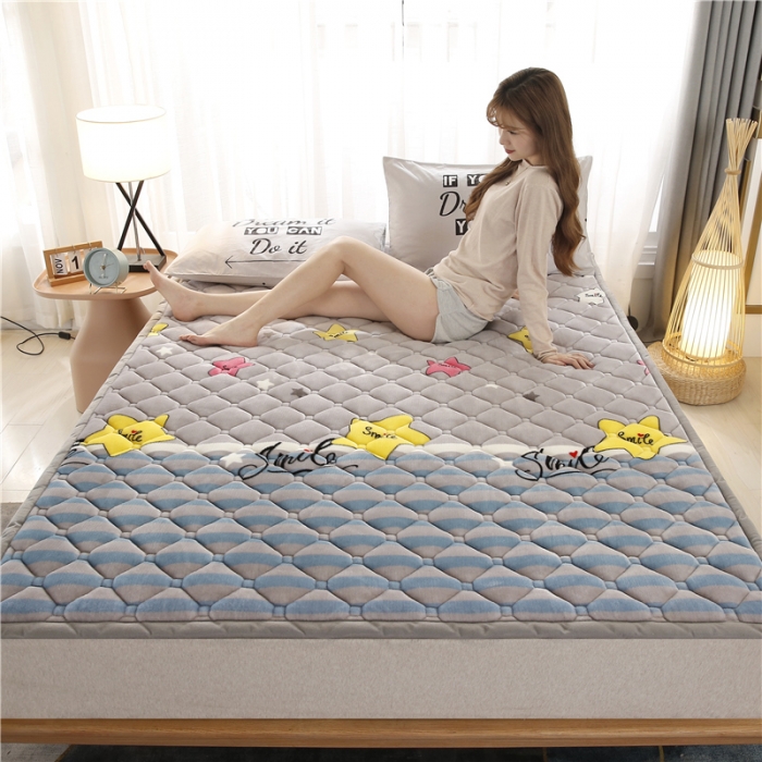 91家纺网 家纺一手货源 找家纺 东宇床垫 2022新款加厚牛奶绒床垫 星光