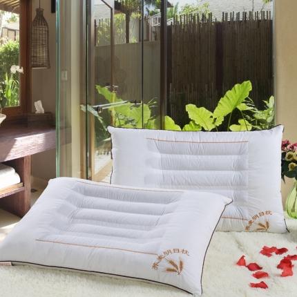 91家纺网 家纺一手货源 找家纺 （总）枕之坊 2021新款角绣花定型枕