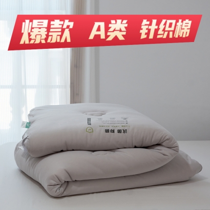 （总）木堇 2021新款针织被大豆纤维被冬被被芯春秋被