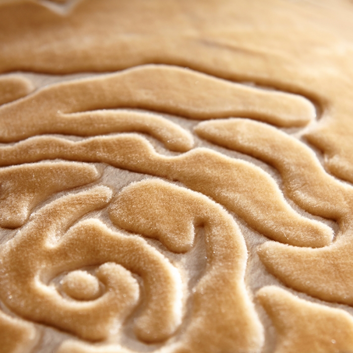 91家纺网 家纺一手货源 找家纺 新月家纺2021新款水晶绒毛毯毯子心灵之语