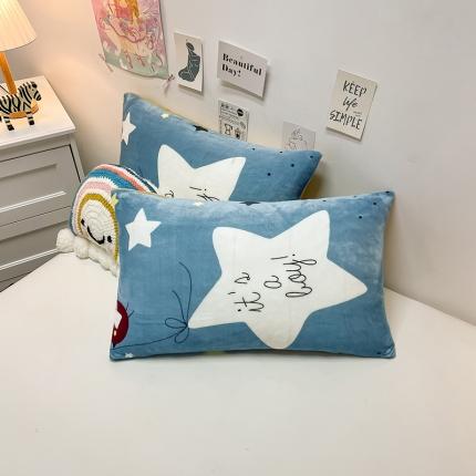 91家纺网 家纺一手货源 找家纺 （总）芃成家纺 2021新款牛奶绒印花单枕套一对