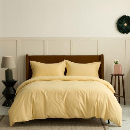 91家纺网 家纺一手货源 找家纺 （总）涞澳 2021新款50磨绒纯色四件套风格一