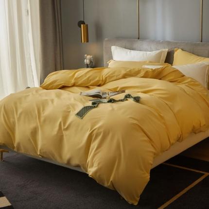 （总）涞澳 2021新款50磨绒纯色四件套风格二