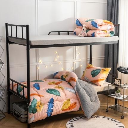 91家纺网 家纺一手货源 找家纺 畅销被业 2024新款羊羔绒学生床冬被 梵韵若梦-粉