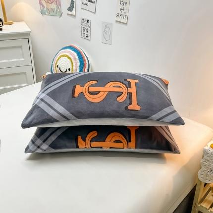 芃成家纺 2021新款牛奶绒印花单枕套一对 梦想网