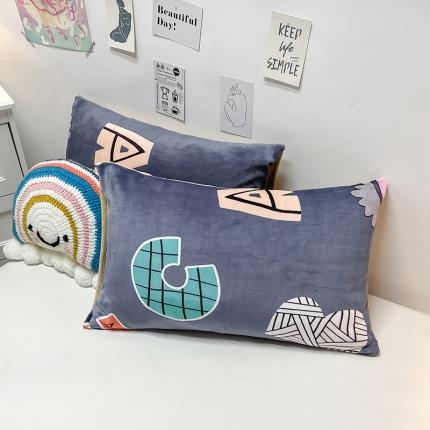 91家纺网 家纺一手货源 找家纺 芃成家纺 2021新款牛奶绒印花单枕套一对 摩登时代