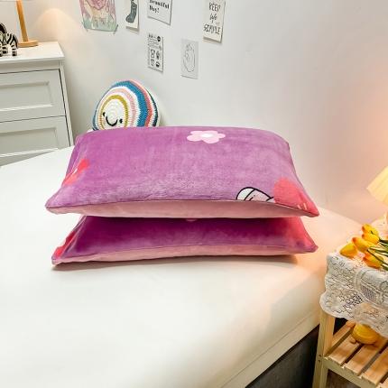 芃成家纺 2021新款牛奶绒印花单枕套一对 七彩花