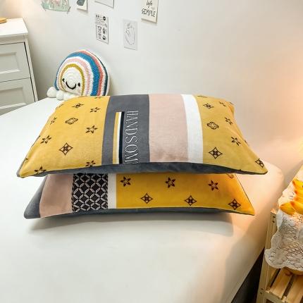 芃成家纺 2021新款牛奶绒印花单枕套一对 文森特