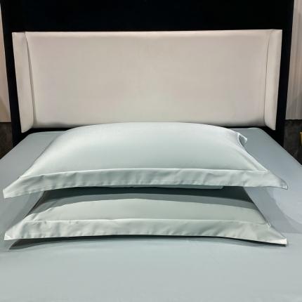 91家纺网 家纺一手货源 找家纺 总 DC2024新款100支长绒棉南希枕套一对