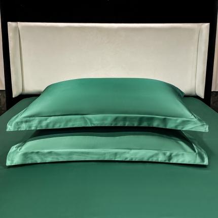 91家纺网 家纺一手货源 找家纺 总 DC2024新款100支长绒棉南希枕套一对