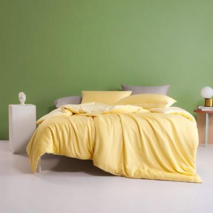 91家纺网 家纺一手货源 找家纺 （总）涞澳 2021新款全棉隐形拉链双拼款四件套