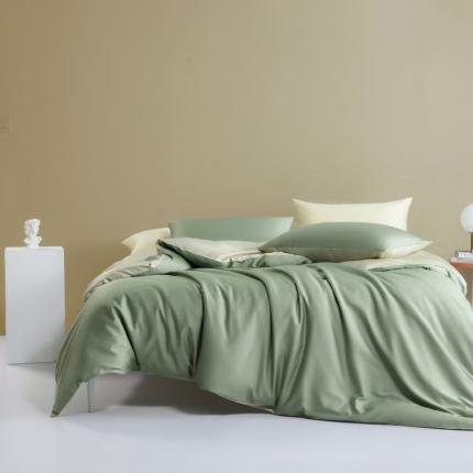 涞澳 2021新款全棉隐形拉链双拼款四件套 果青