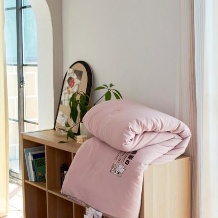 2021木堇新款牛奶绒大豆纤维被春秋被冬被被子被芯 豆沙