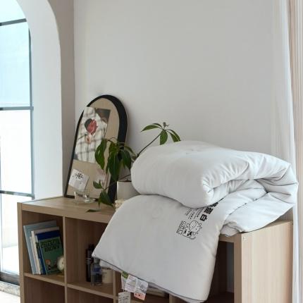 2021木堇新款牛奶绒大豆纤维被春秋被冬被被子被芯 灰