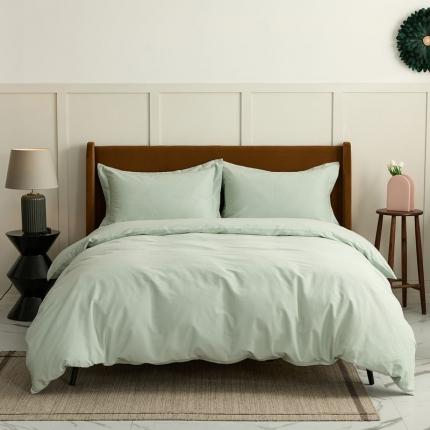 涞澳 2021新款50磨绒纯色四件套风格一 泡沫绿