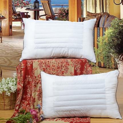 91家纺网 家纺一手货源 找家纺 (总) 枕之坊 2021新款天然荞麦两用46×72cm