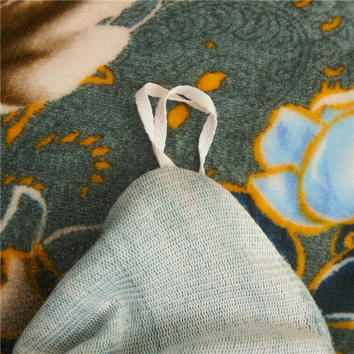 91家纺网 家纺一手货源 找家纺 爱洛家纺2021新款金貂绒四件套 绿野仙踪