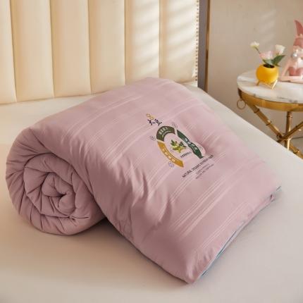 91家纺网 家纺一手货源 找家纺 （总）澳洲羽 2024新超柔暖绒大豆被子被芯春秋被冬被