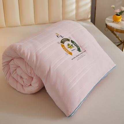 91家纺网 家纺一手货源 找家纺 （总）澳洲羽 2024新超柔暖绒大豆被子被芯春秋被冬被