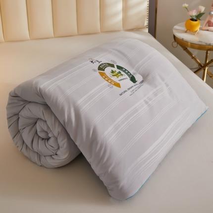 91家纺网 家纺一手货源 找家纺 （总）澳洲羽 2024新超柔暖绒大豆被子被芯春秋被冬被