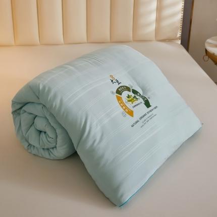 91家纺网 家纺一手货源 找家纺 （总）澳洲羽 2024新超柔暖绒大豆被子被芯春秋被冬被