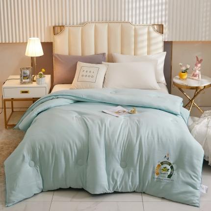 澳洲羽 2024新超柔暖绒大豆被子被芯春秋被冬被 水绿色